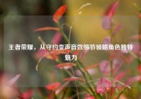 王者荣耀，从守约变声音效细节领略角色独特魅力