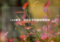 CSGO黄条，竞技公平的隐秘博弈场