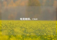 电竞明珠，CSGO