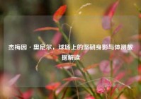 杰梅因·奥尼尔，球场上的坚韧身影与体测数据解读
