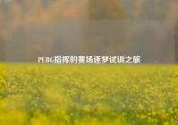 PUBG指挥的赛场逐梦试训之旅