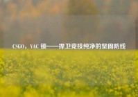 CSGO，VAC 锁——捍卫竞技纯净的坚固防线