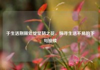 于生活荆棘处绽坚韧之花，探寻生活不易的下句接续