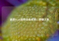 追逐Steam游戏白金成就，荣耀之旅
