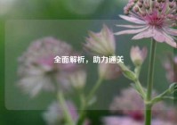 全面解析，助力通关