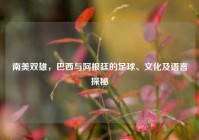 南美双雄，巴西与阿根廷的足球、文化及语言探秘
