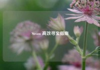 Steam 高效寻宝指南