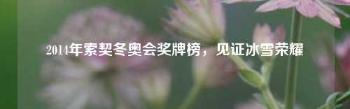 2014年索契冬奥会奖牌榜，见证冰雪荣耀