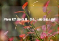探秘王者荣耀防御塔，颜色、战略价值全解析