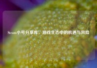 Steam小号分享库，游戏生态中的机遇与风险