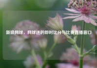 新浪网球，网球迷的即时比分与比赛直播窗口