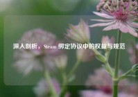 深入剖析，Steam 绑定协议中的权益与规范