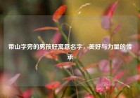 带山字旁的男孩好寓意名字，美好与力量的传承