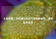 王者荣耀，切勿通过非官方途径刷金币，谨防账号受罚