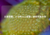 王者荣耀，24 小时人工 *** ，游戏可靠伙伴