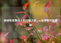 探秘电竞舞台上的闪耀之星，lol张梦婷究竟是谁