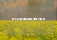 PUBG游戏切屏黑屏问题全攻略