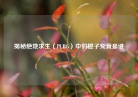 揭秘绝地求生（PUBG）中的橙子究竟是谁