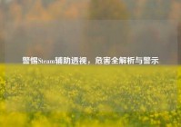 警惕Steam辅助透视，危害全解析与警示