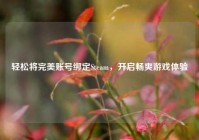 轻松将完美账号绑定Steam，开启畅爽游戏体验