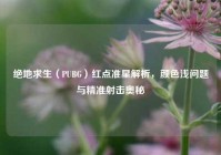 绝地求生（PUBG）红点准星解析，颜色浅问题与精准射击奥秘