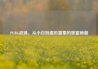 PUBG战场，从小白到虚拟富豪的致富秘籍