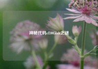 神秘代码cf1005lnh之谜