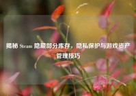 揭秘 Steam 隐藏部分库存，隐私保护与游戏资产管理技巧