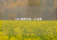 CSGO 信仰之选，AK 法老