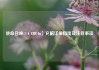 使命召唤16（COD16）充值详细指南及注意事项