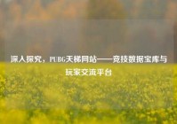 深入探究，PUBG天梯网站——竞技数据宝库与玩家交流平台
