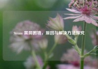 Steam 黑屏困境，原因与解决 *** 探究