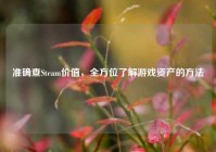 准确查Steam价值，全方位了解游戏资产的 *** 