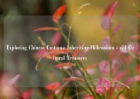 Exploring Chinese Customs: Inheriting Millennium - old Cultural Treasures