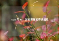 Steam 与 Sis，游戏世界的奇妙篇章