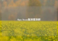 Opus Steam版深度剖析