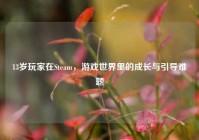 13岁玩家在Steam，游戏世界里的成长与引导难题