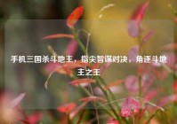 手机三国杀斗地主，指尖智谋对决，角逐斗地主之王