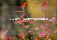 Steam 赠予，传递游戏里的温暖情谊