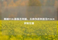 揭秘PUBG新版吉利服，丛林伪装利器及PUBGM获取位置