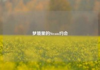 梦境里的Steam约会