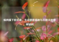 蛛网膜下腔出血，生命隐匿威胁与不相关的地理疑问
