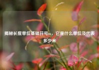 揭秘长度单位基础符号m，它是什么单位及代表多少米