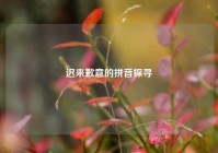 迟来歉意的拼音探寻