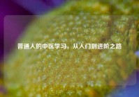 普通人的中医学习，从入门到进阶之路