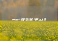 COD16卡顿问题剖析与解决之道