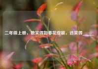 二年级上册，她笑得如春花绽放，还笑得_____