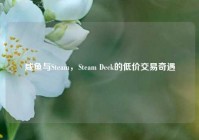 咸鱼与Steam，Steam Deck的低价交易奇遇