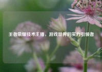 王者荣耀技术主播，游戏世界的实力引领者