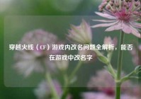 穿越火线（CF）游戏内改名问题全解析，能否在游戏中改名字